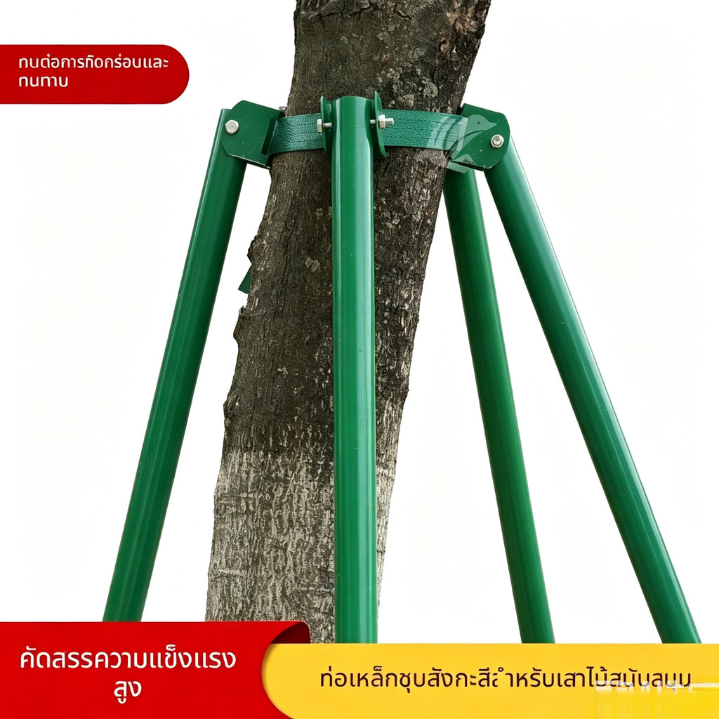 โครงค้ำต้นไม้เหล็กชุบสังกะสี อุปกรณ์ยึดต้นกล้าและต้นไม้ใหญ่ กันลม เหมาะงานภูมิทัศน์