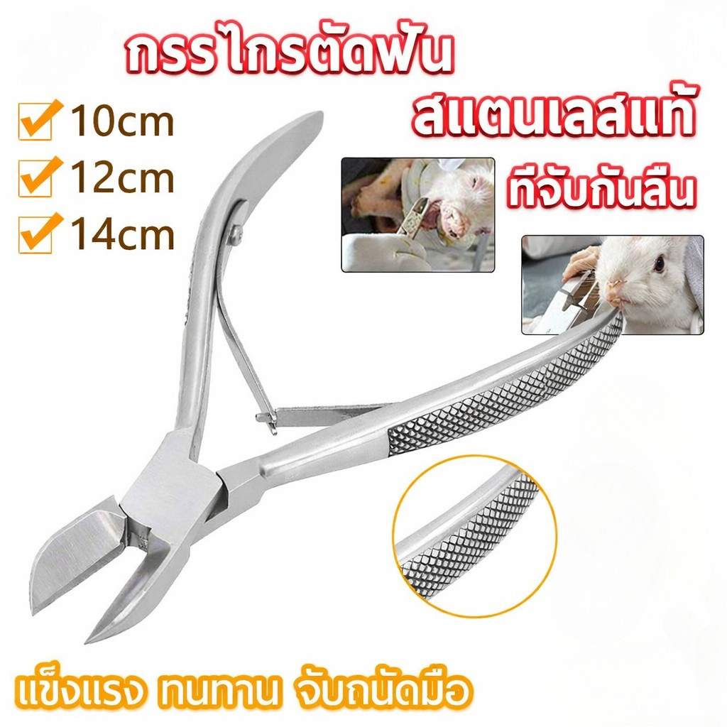 กรรไกรตัดฟันหมู กรรไกรตัดฟัน สแตนเลส ที่จับกันลื่น ความยาว 10/12/14 ซม คม ตัดฟันง่าย อายุการใช้งานยาวนาน