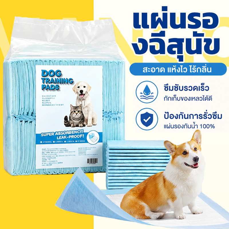 Mango แผ่นรองฉี่สุนัข ซึมซับไดีดี ต่อต้านแบคทีเรีย แผ่นรองฉี่ ผ้ารองฉี่สุนัข แผ่นรองฉี่แมว แผ่นรองซับ ทรายแมวCOD