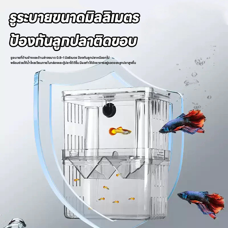 กล่องแยกปลา ตู้เพาะพันธุ์ปลา อะคริลิคใส แบบแขวน สำหรับปลากุ๊ปปี้ ขนาด S L thumbnail 9