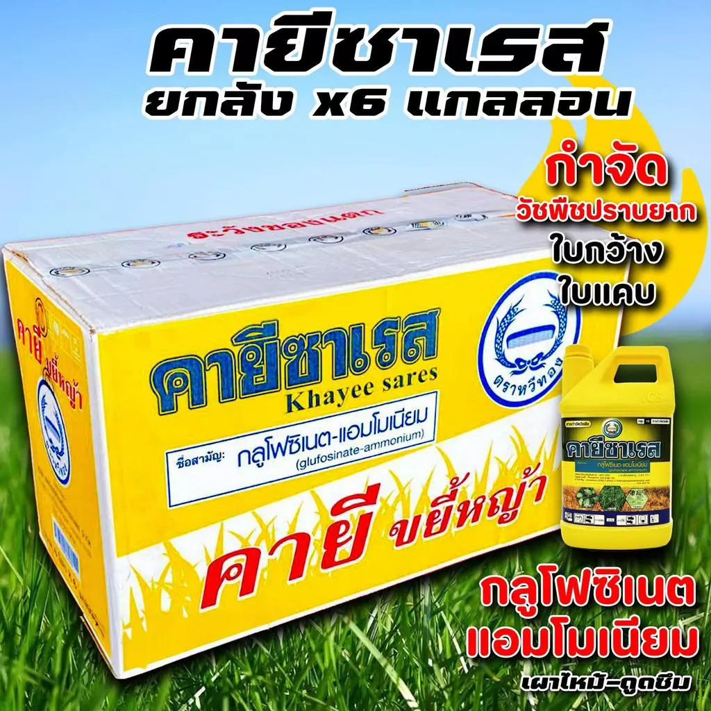 คายีซาเรส ยกลัง x6แกลลอน กลูโฟซิเนต แอมโมเนียม กำจัดวัชพืชปราบยาก หญ้า สำหรับวัชพืชใบแคบ ใบกว้าง ปลอดภัยสูงต่อพืชประธาน