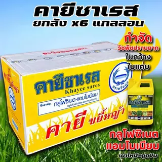 คายีซาเรส ยกลัง x6แกลลอน กลูโฟซิเนต แอมโมเนียม กำจัดวัชพืชปราบยาก หญ้า สำหรับวัชพืชใบแคบ ใบกว้าง ปลอดภัยสูงต่อพืชประธาน