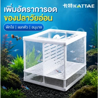 COD กล่องตะข่ายแยกปลาลูกปลาขนาน เพาะพันธุ์ปลา กล่องฟักไข่ ตู้ฟักไข่ปลา แบบตาข่าย กล่องแยกปลา