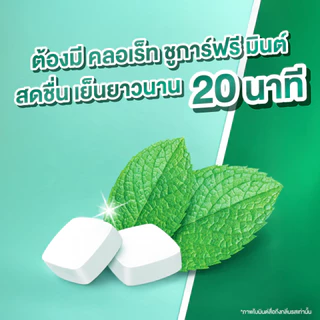 [แพ็ค 3] Clorets Sugar Free Fresh Mint คลอเร็ท ชูการ์ฟรี เฟรชมินต์ 15.4g
