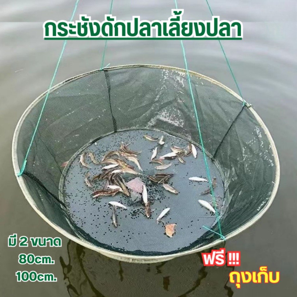 กระชังดักปลา (แบบยก) ตาข่ายจับปลา กุ้ง แบบพับได้ ที่ดักปลา กระชอน สวิง มีที่ใส่เหยื่อล่อ /G0043