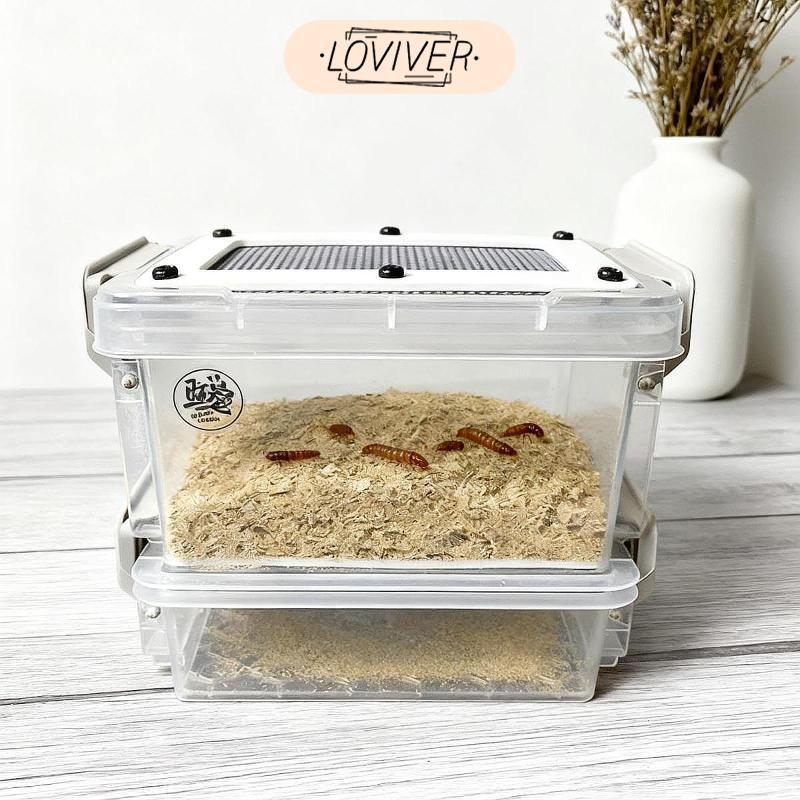 Roach กล่องให้อาหารแบบพกพา Clear Terrarium Habitat สําหรับแมลงสาบ