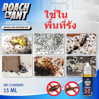 เจลมด ตรา 15ML. เหยื่อมด กำจัดยกรัง สินค้าพร้อมส่ง