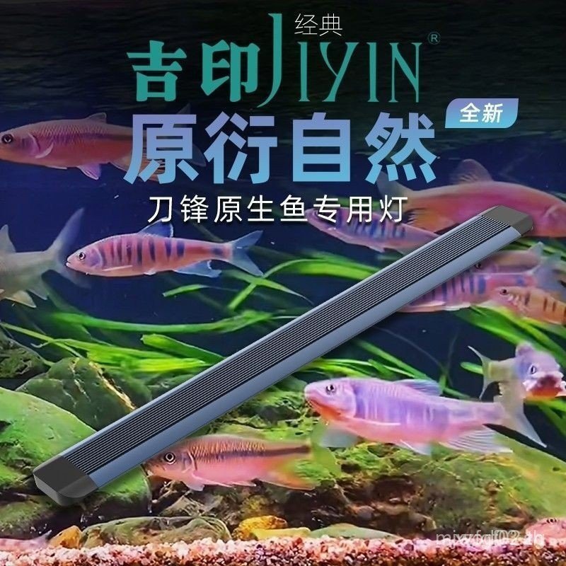 Jiyinfeng Native Fish Tank Light led กันน้ําแสงพิเศษ Stream Tank Brightening Lighting 8OFI 2ZV2