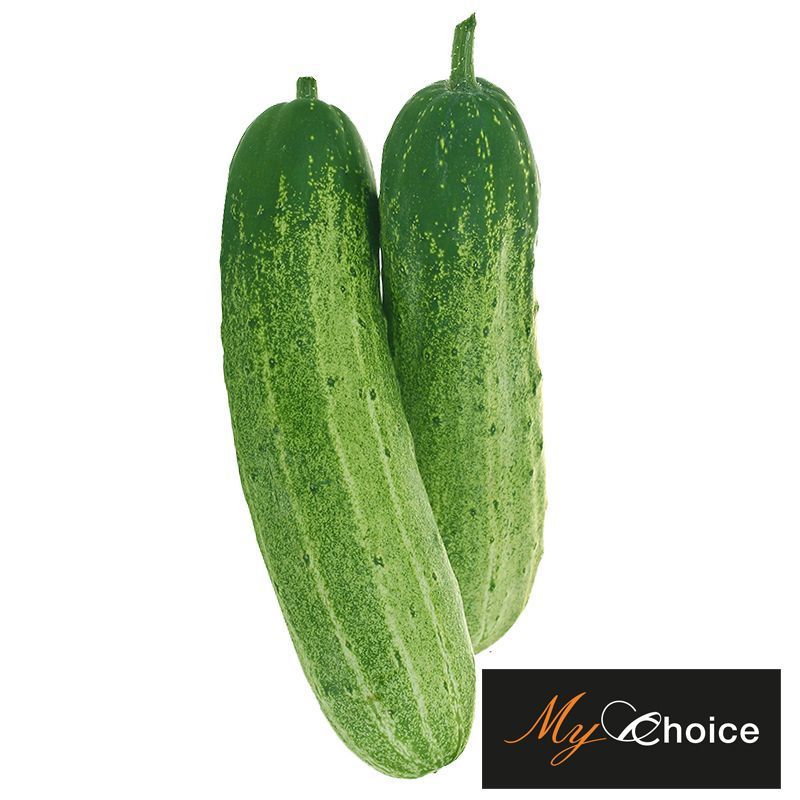 มายช้อยส์แตงกวา My Choice Cucumber [หมายเลขบาร์โค้ด 0000020909079 ] สินค้าคุณภาพดี คัดสรรอย่างตั้งใจ