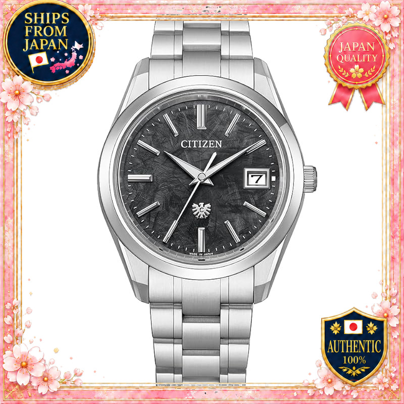 THE CITIZEN Eco-Drive AQ4100-57E Men's Watch