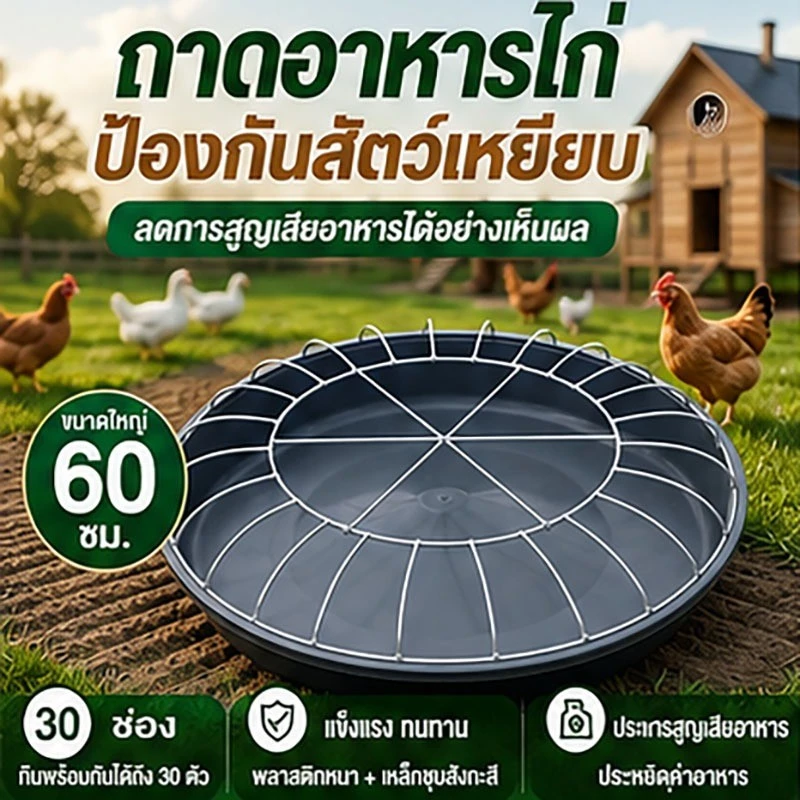 ถาดอาหารไก่ 60 ซม. 30 ช่อง พร้อมตะแกรงกันเหยียบ ถาดให้อาหารไก่ เป็ด ห่าน ลดอาหารหก พลาสติกหนา แข็งแรง สำหรับฟาร์มสัตว์ปี