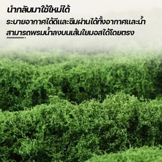 แผ่นมอสปลอม แผ่นมอสเทียม เสื่อมอสจำลอง สีเขียวสมจริง ตัดแต่งง่าย ใช้งานได้ยาวนาน ตกแต่งบ้านและสวน