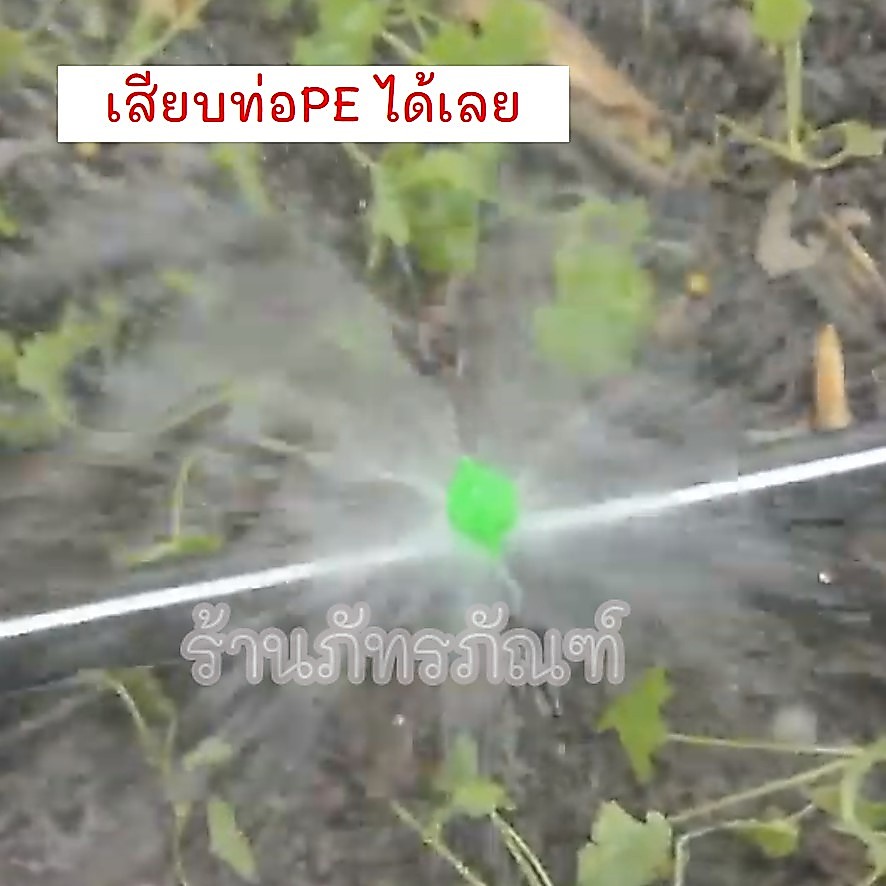 (100 ตัว) มินิสปริงเกอร์ หัวฉีดผีเสื้อ (ไชโย) เสียบท่อ pe รูปที่ 3