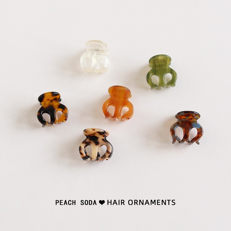 CHUANYE Acetate French Small Grab Clip Half-Tie Hair Top Clip Side Clip Gentle All-Match