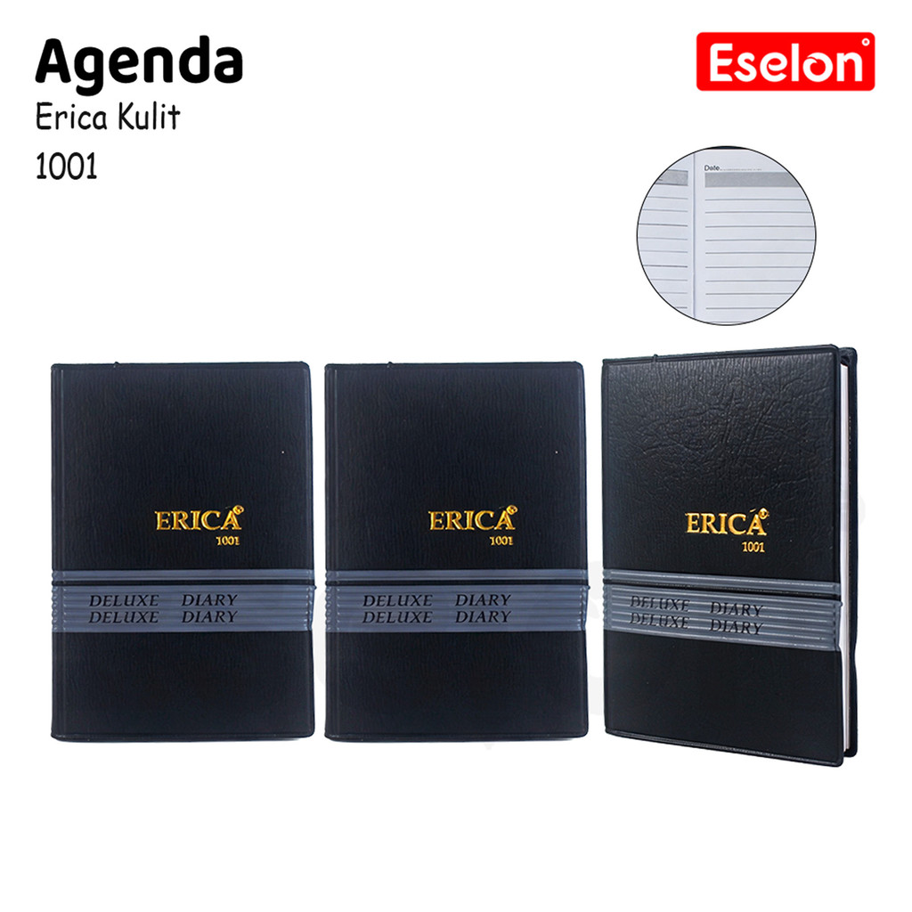 ERICA 1001 AGENDA/ POCKET AGENDA 1001