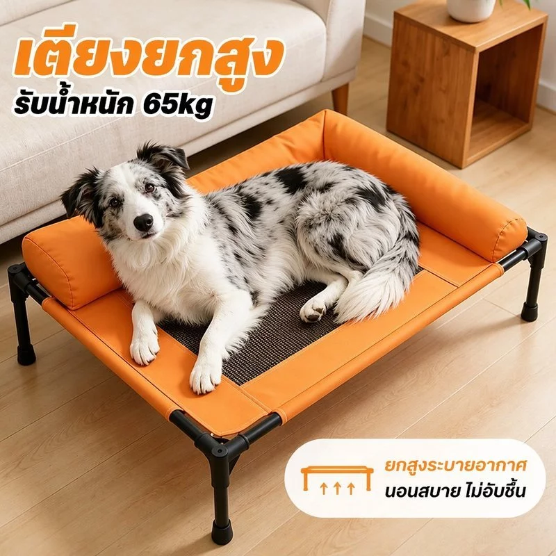 ที่นอนแมว ที่นอนสุนัขยกสูง รับน้ำหนัก 65kg ผ้าอัพเกรดใหม่ ระบายอากาศและป้องกันความชื้น