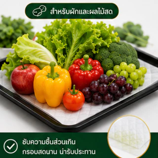 DS แผ่นกันแฉะ (ฟู้ดเกรด)แผ่นดูดซับน้ำอาหารสด(Foodabsorbentpad)25MLขนาด11x7.5cm100แผ่น/แพ็คช่วยดูดน้ำที่ตกค้างในถาดอาหาร