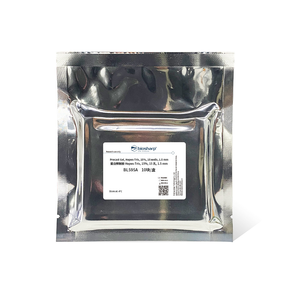 Bs BL595A Protein กาวสําเร็จรูป Hipes-Tris, 15%, 15 หลุม, 1.5 มม.