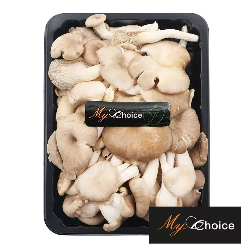 มายช้อยส์เห็ดนางฟ้าดอกอ่อนเกรดพิเศษ 150ก My Choice Young Sajor Caju Mushroom Special 150g. [บาร์โค้ด 0000031806039]