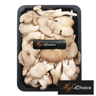 มายช้อยส์เห็ดนางฟ้าดอกอ่อนเกรดพิเศษ 150ก My Choice Young Sajor Caju Mushroom Special 150g. [บาร์โค้ด 0000031806039]