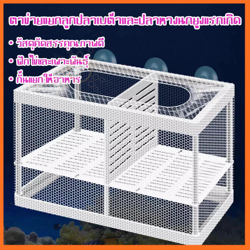 กล่องตาข่ายแยกปลา แยกปลาป่วย ลูกกุ้ง กล่องฟักไข่ปลา thumbnail 9