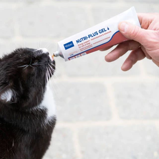 Virbac Nutri Plus Gel Dog Cat Supplement 120.5g. เลขทะเบียนอาหารสัตว์ 02 08 56 0043