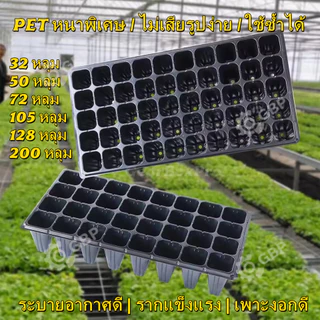 ถาดเพาะกล้า PET หนา 1.0 มม. 32/50/72/105/128/200 หลุม ใช้ซ้ำได้ ระบายอากาศดี ไม่เสียรูป เพาะเมล็ด เพาะต้นอ่อน ไฮโดรโปนิก
