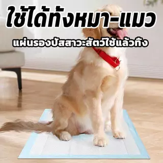 แผ่นรองฉี่สัตว์เลี้ยง ดูดซับกลิ่นเหม็นได้ดี ช่วยฝึกขับถ่าย เหมาะสุนัขทุกสายพันธุ์ บูลด็อก ชihuahua และแมว