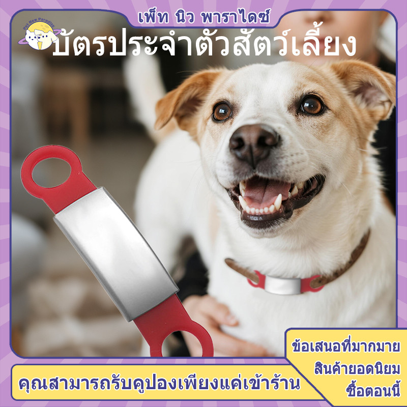 ป้ายชื่อแมว ป้ายชื่อหมา tag แมว ป้ายคอแมว ป้ายแมว ป้ายคอสุนัข 7 สี 2 ขนาด เหมาะสำหรับทั้งแมวและสุนัข