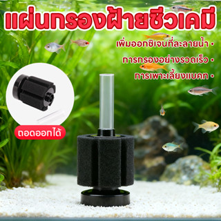 กรองฟองน้ำ ตัวกรองตู้ปลา กรองฟองน้ำ เพิ่มออกซิเจนในน้ำ กำจัด…
