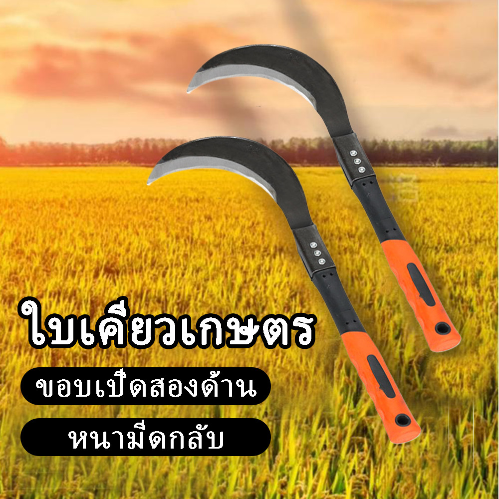 เคียว ขนาด เคียวเหล็กแมงกานีส เคียวเกี่ยวหญ้า เคียวเกี่ยวข้าว มีดถางหญ้า คียวตัดกิ่งไม้
