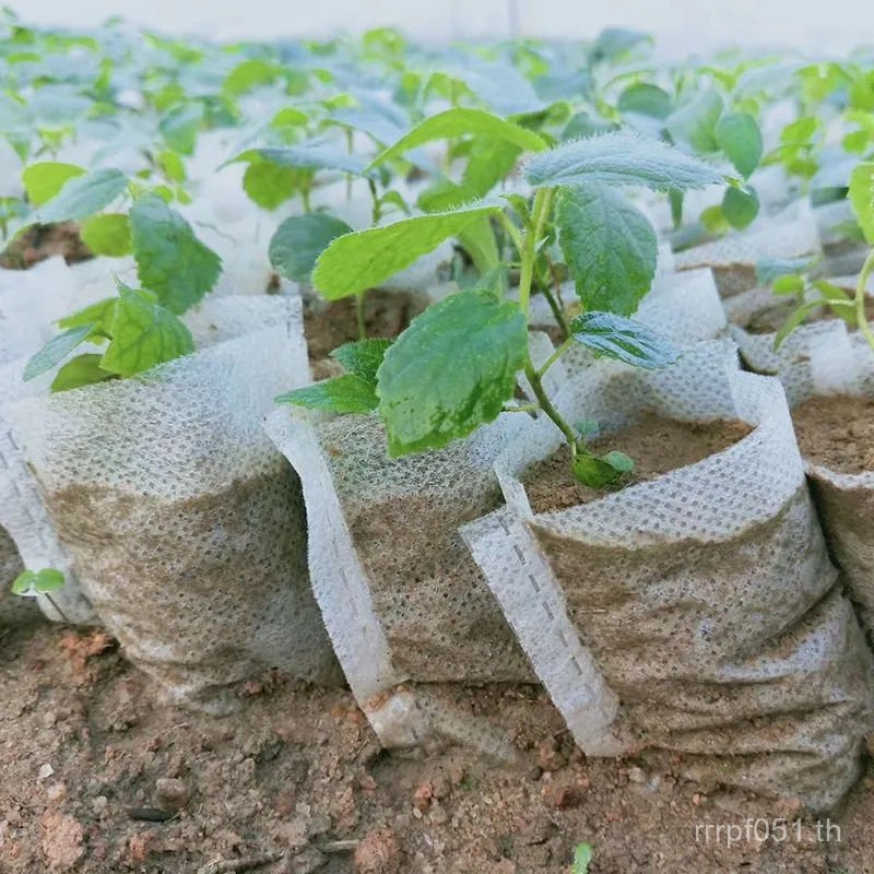 Degradable Garden Nutrition Bag Non-Woven Nursery Sapling Nursery Bag Nutrition Bag คอนเทนเนอร์ Beau