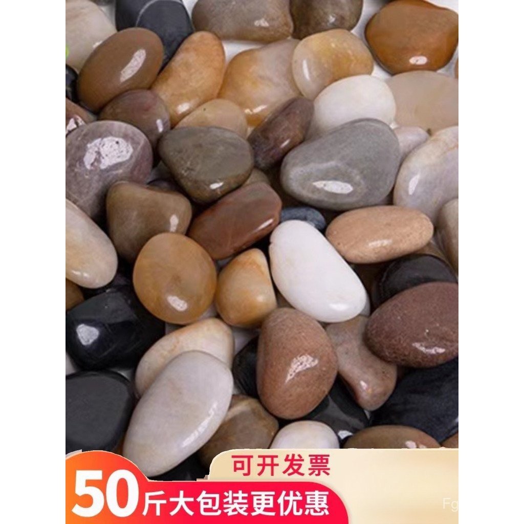 ถังปลา Pebbles Paving ตกแต่ง Pebbles Fine โยน Pebbles ภูมิทัศน์ Natural Paving Courtyard BROX