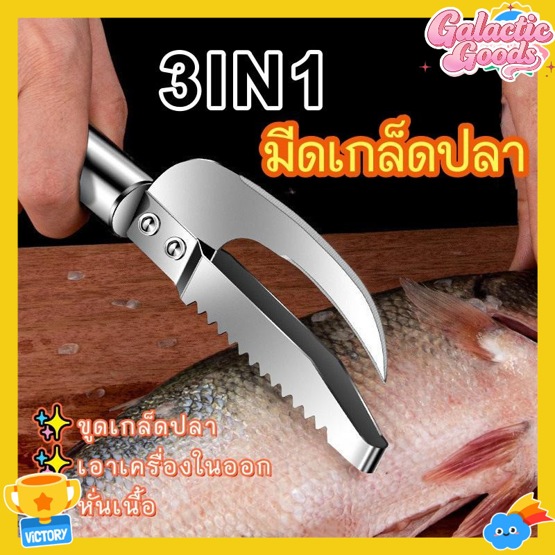 ที่ขูดเกล็ดปลาสแตนเลสเครื่องมือทําความสะอาดห้องครัวสําหรับปลา ใช้เกล็ดปลา ตัดเปิดท้อง ถอดลําไส้