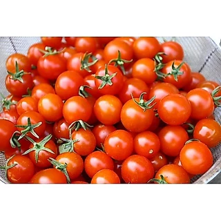 เมล็ดพันธุ์ มะเขือเทศ เชอรี่สวีทตี้ Sweetie Cherry Tomato Seed 50 เมล็ด คุณภาพดี ของแท้ 100%