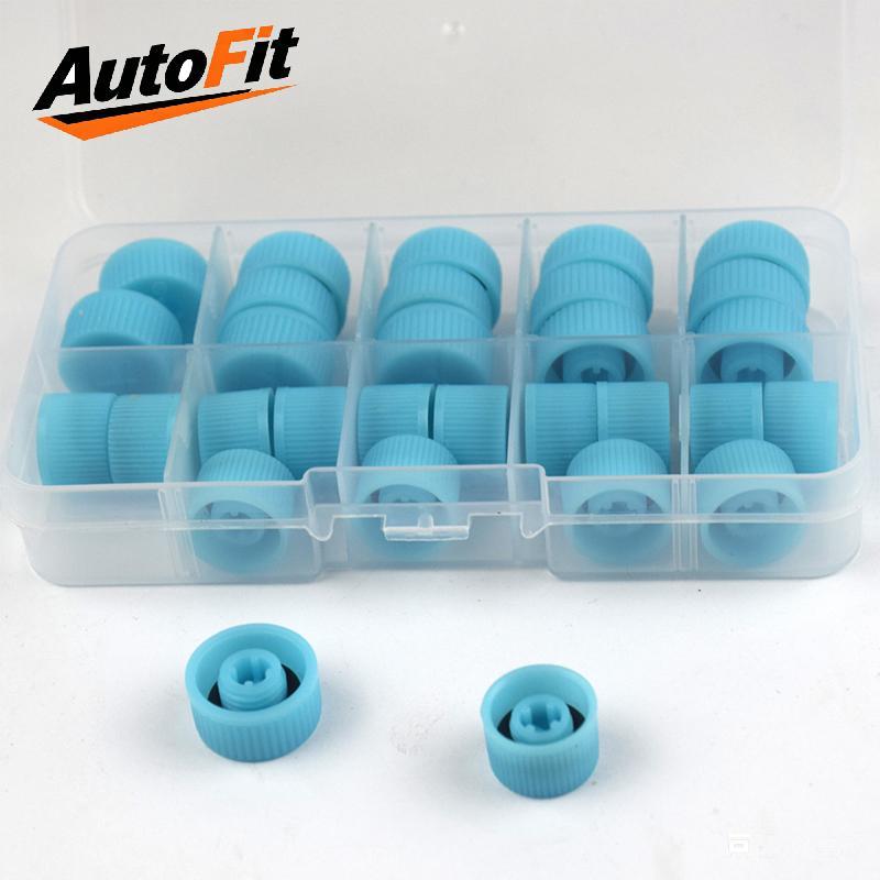 AutoFit ฝาปิดวาล์วแอร์รถยนต์ 30 ชิ้น ฝาครอบพอร์ตแรงดันสูงต่ำ กันฝุ่น อุปกรณ์ซ่อมแอร์รถยนต์