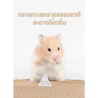ร้านโทโมะ 💕 ทราย Bucatstate ทรายห้องน้ำ ทรายรองกรง ทรายทะเลทราย หนูแฮมสเตอร์ เจอร์บิล แฟตเทล งู