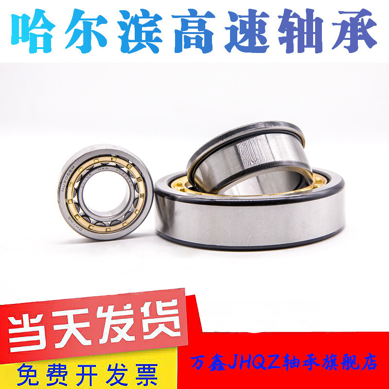 Halbin Bearing RN/N/NJ/NU/304 305 306 307 308 309 310 311 312/EM