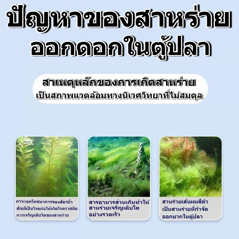 เม็ดกำจัดตะไคร่ ขจัดตะไคร่และสาหร่ายอย่างมีประสิทธิภาพ รูปที่ 4