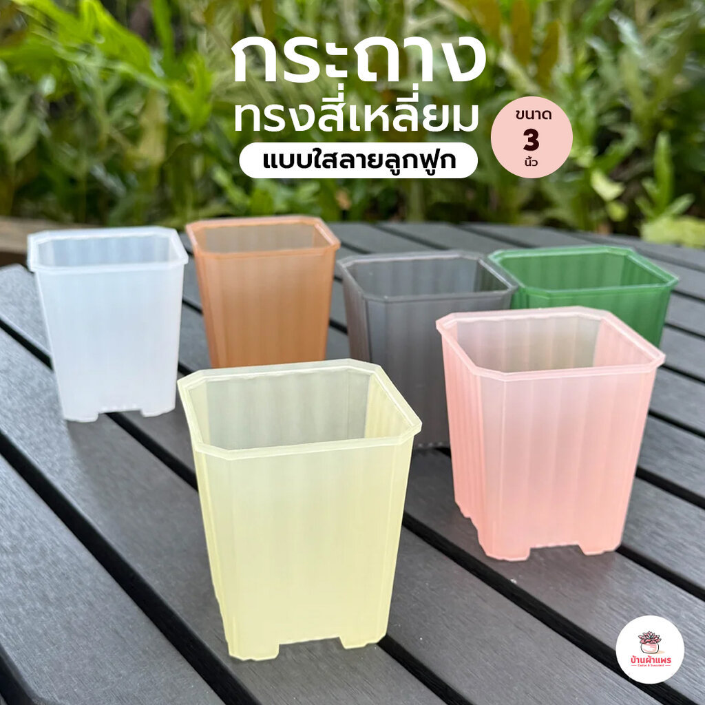 กระถางสี่เหลี่ยม #ใสลายลูกฟูก กระถางพลาสติก แคคตัส กระบองเพชร ไม้อวบน้ำ Cactus&Succulent