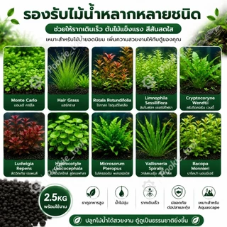 💥พร้อมส่ง💥ดินปลูกไม้น้ำตู้ปลา 2.5KG Aquasoil ดินเลี้ยงกุ้ง ดินไม้น้ำ Aquarium Soil น้ำไม่ขุ่น ไม่ต้องล้าง ธาตุอาหารสูง