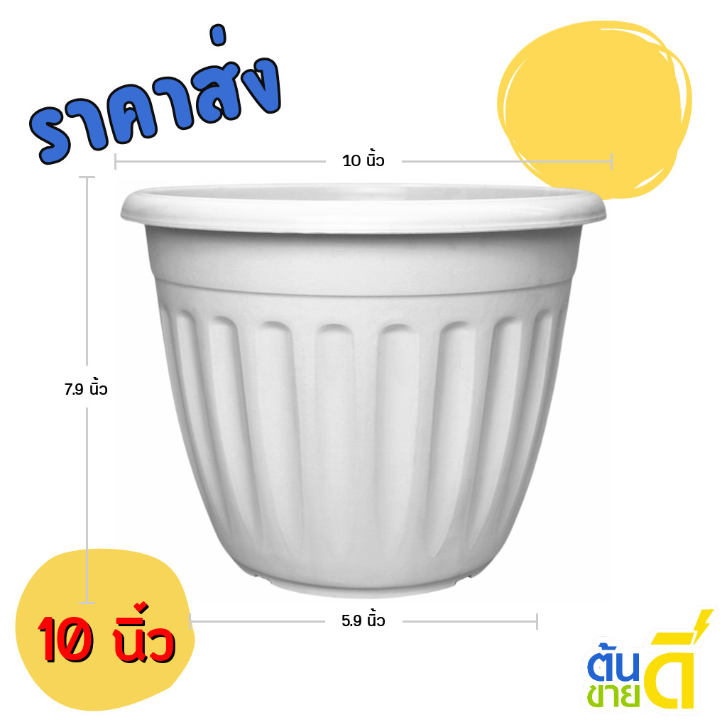 กระถางมินิมอล กระถางต้นไม้ 10 นิ้ว ขาว โรมัน ขั้นต่ำ 2 ใบ ชิ้น อัน