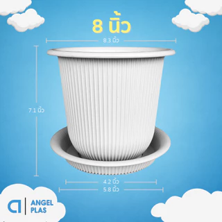 กระถางต้นไม้ มินิมอล ขนาด 8 นิ้ว สีขาว ขั้นต่ำ 3 ใบ ชิ้น อัน