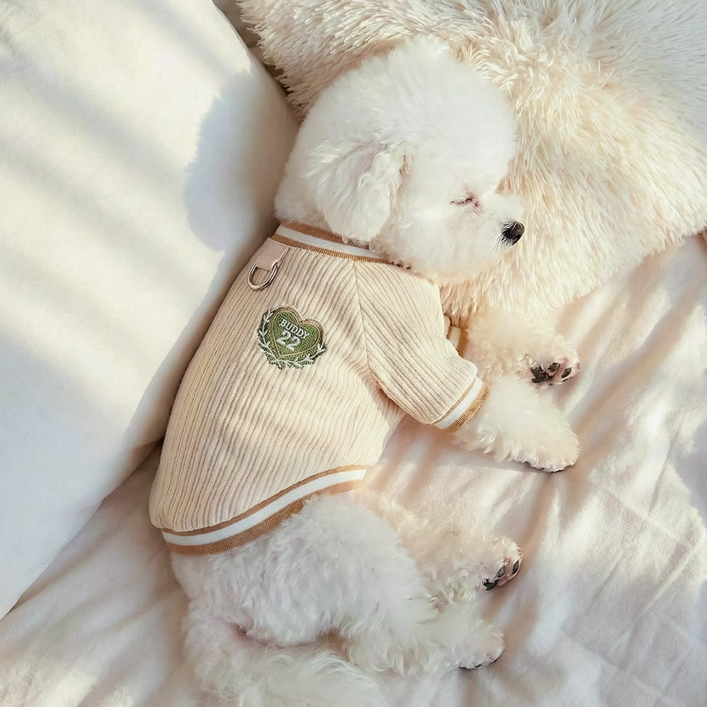 Bubble Rice Sauce Buddy Sweatshirt เสื้อผ้าสัตว์เลี้ยงสุนัข Teddy Bichon Cat ฤดูใบไม้ผลิกีฬาฤดูร้อนซ