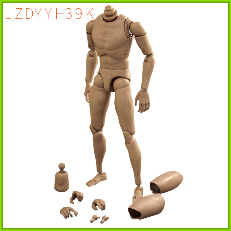 [lzdyyh39k] 1:6 Men ไหล่แคบกล้ามเนื้อ Body Super ยืดหยุ่นสําหรับ TTM18 TTM19 HT