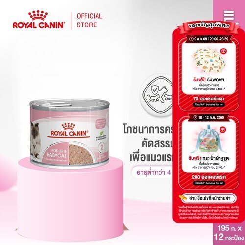 Royal Canin طعام معلب للقطط الحوامل والصغار (12 علبة)