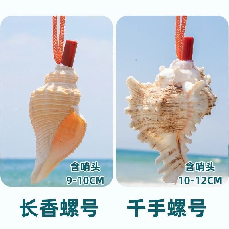 创意海螺贝壳工艺品多款海螺哨小螺号吹螺儿童小玩具旅游区小礼品Creative conch shell crafts, various conch-shell whistles, small sizeb
