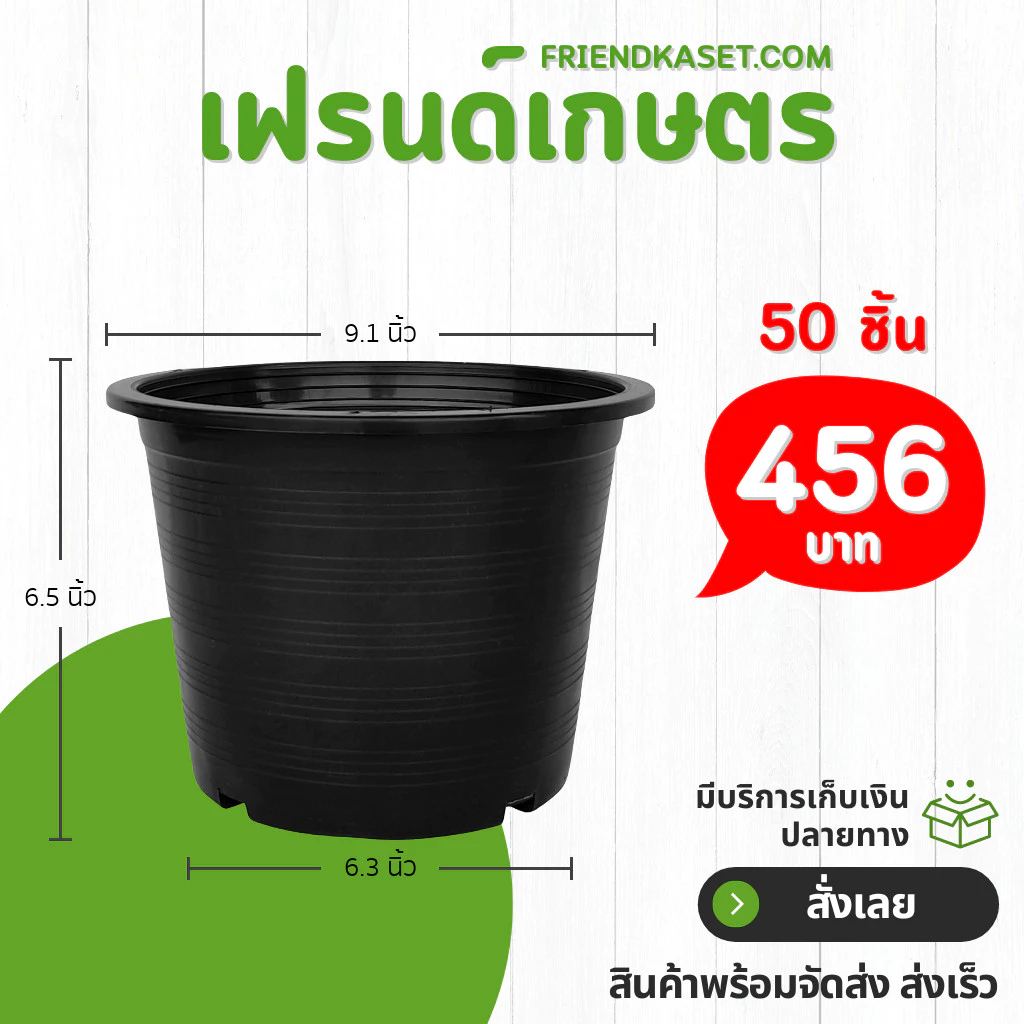 กระถางขาว 10 นิ้ว กระถางต้นไม้ กระถางพลาสติก ราคาโรงงาน หนา thumbnail 9