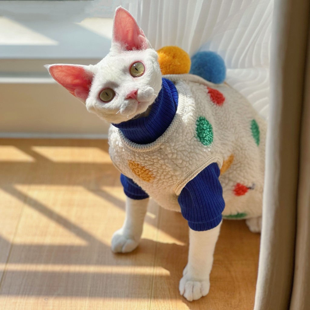 Y · H Polka Dot Wool Ball Lamb Wool Jacket Dopamine Wear Winter Warm Sphinx Woolless Cat Clothes