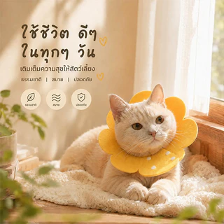 คอปกกันกัดสัตว์เลี้ยง รูปดอกทานตะวัน ผ้าสักหลาด S/M/L/XL 3 สี (เหลือง/ส้ม/ชมพู) สำหรับแมวและสุนัข